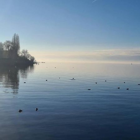 Le Duc Lägenhet Thonon-les-Bains Exteriör bild