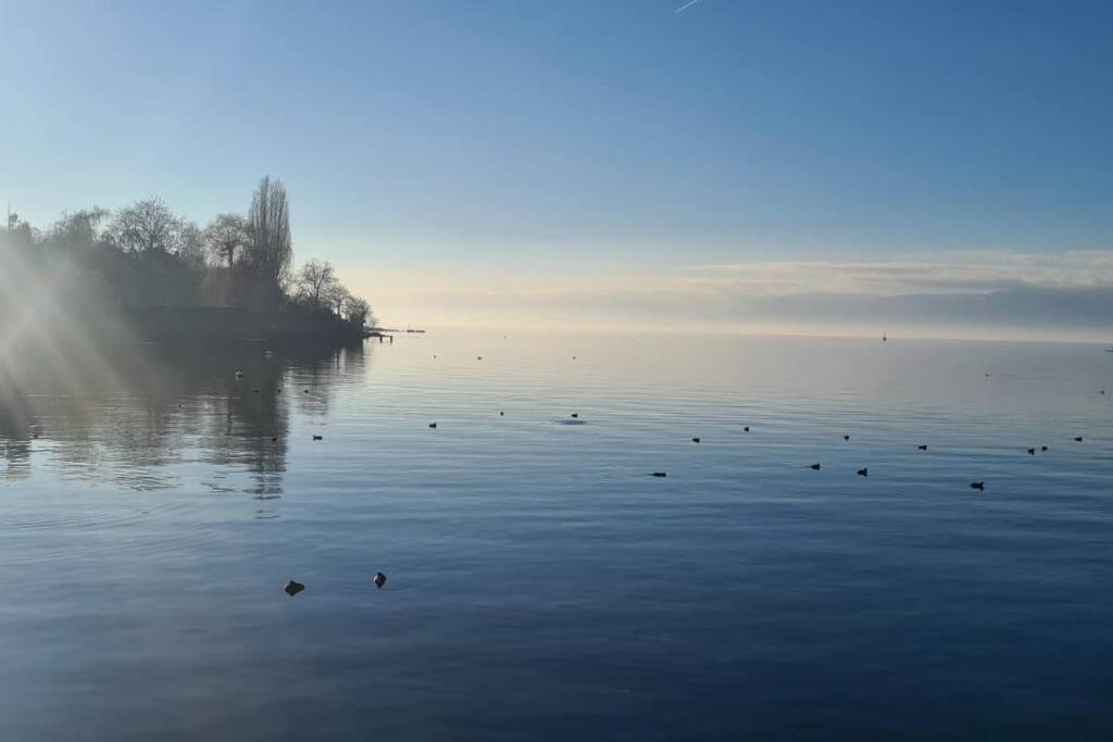 Le Duc Lägenhet Thonon-les-Bains Exteriör bild